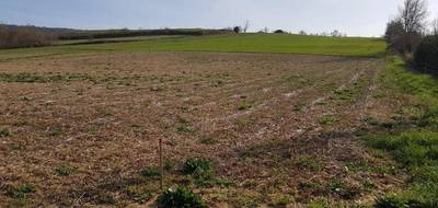 Terrain et maison à Vaudreuille en Haute-Garonne (31) de 95 m² à vendre au prix de 226579€ - 4