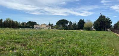 Terrain à Lapalud en Vaucluse (84) de 768 m² à vendre au prix de 111000€ - 4