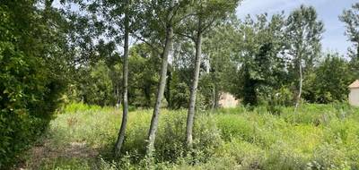 Terrain à Eyguières en Bouches-du-Rhône (13) de 600 m² à vendre au prix de 239000€ - 4