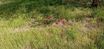 Terrain à Ychoux en Landes (40) de 750 m² à vendre au prix de 95000€ - 3