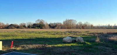 Terrain à Lavaur en Tarn (81) de 1053 m² à vendre au prix de 120000€ - 3