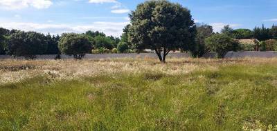 Terrain à Jonquières en Vaucluse (84) de 1623 m² à vendre au prix de 220000€ - 3
