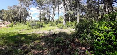 Terrain à Trans-en-Provence en Var (83) de 916 m² à vendre au prix de 193000€ - 2