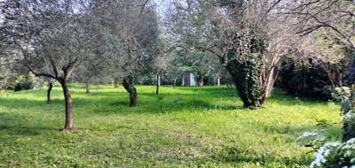 Terrain à Draguignan en Var (83) de 1000 m² à vendre au prix de 170000€ - 3