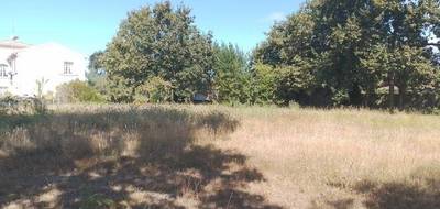 Terrain à Audenge en Gironde (33) de 500 m² à vendre au prix de 180000€ - 1