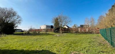 Terrain et maison à Wambrechies en Nord (59) de 150 m² à vendre au prix de 604000€ - 3