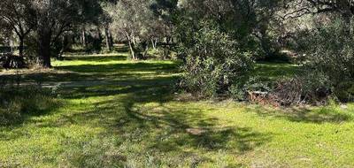 Terrain à La Cadière-d'Azur en Var (83) de 2265 m² à vendre au prix de 634000€ - 1