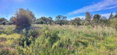 Terrain à Puget-sur-Argens en Var (83) de 2004 m² à vendre au prix de 250000€ - 2