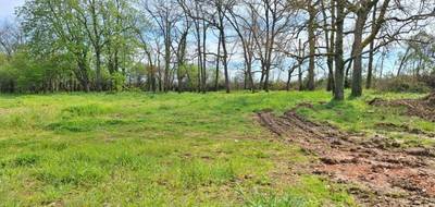 Terrain et maison à Léguevin en Haute-Garonne (31) de 160 m² à vendre au prix de 596035€ - 4