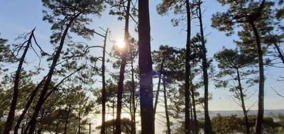 Terrain à Lugos en Gironde (33) de 1052 m² à vendre au prix de 110000€ - 1