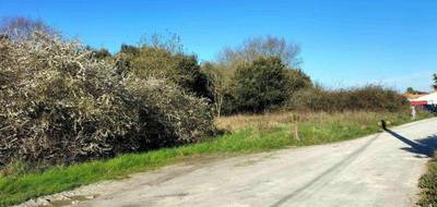 Terrain et maison à Dolus-d'Oléron en Charente-Maritime (17) de 91 m² à vendre au prix de 245140€ - 3