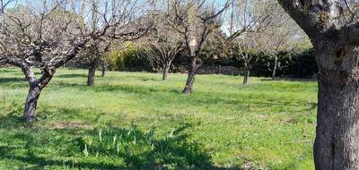 Terrain à Brignoles en Var (83) de 650 m² à vendre au prix de 145000€ - 2