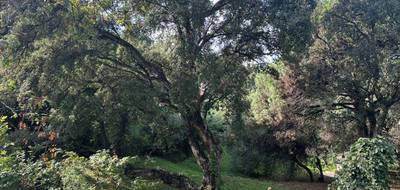 Terrain à Sainte-Maxime en Var (83) de 1500 m² à vendre au prix de 550000€ - 2