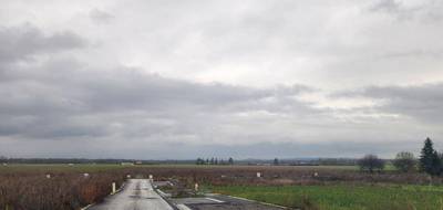 Terrain et maison à Dietwiller en Haut-Rhin (68) de 94 m² à vendre au prix de 349000€ - 4