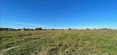 Terrain et maison à Villevieille en Gard (30) de 95 m² à vendre au prix de 349000€ - 4