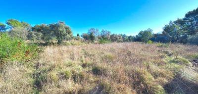 Terrain à Bagnols-en-Forêt en Var (83) de 1381 m² à vendre au prix de 170000€ - 4