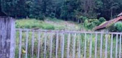 Terrain et maison à Souppes-sur-Loing en Seine-et-Marne (77) de 90 m² à vendre au prix de 250000€ - 3