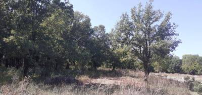 Terrain et maison à Tourrettes en Var (83) de 110 m² à vendre au prix de 498000€ - 2