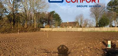 Terrain et maison à Habarcq en Pas-de-Calais (62) de 99 m² à vendre au prix de 232630€ - 3
