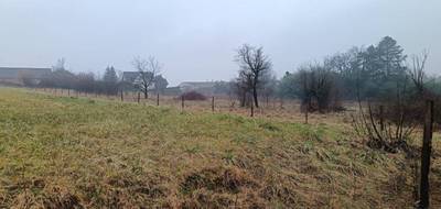 Terrain et maison à Galfingue en Haut-Rhin (68) de 102 m² à vendre au prix de 359500€ - 3