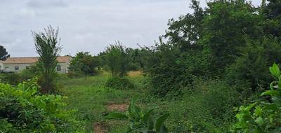 Terrain et maison à Saint-Augustin en Charente-Maritime (17) de 98 m² à vendre au prix de 277663€ - 4