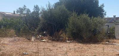 Terrain et maison à Cuers en Var (83) de 90 m² à vendre au prix de 380000€ - 3