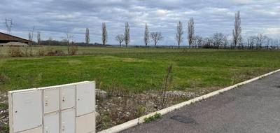 Terrain à Balgau en Haut-Rhin (68) de 573 m² à vendre au prix de 105202€ - 3