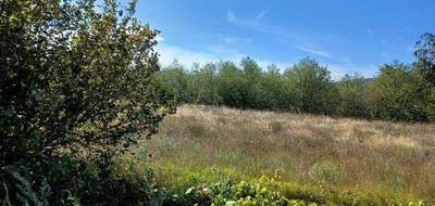 Terrain et maison à Palau-del-Vidre en Pyrénées-Orientales (66) de 90 m² à vendre au prix de 329000€ - 3