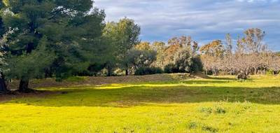 Terrain à La Cadière-d'Azur en Var (83) de 2227 m² à vendre au prix de 634000€ - 3