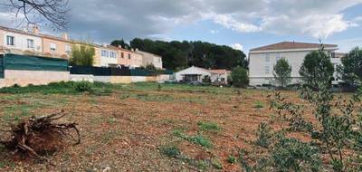 Terrain et maison à Cuers en Var (83) de 105 m² à vendre au prix de 398000€ - 4
