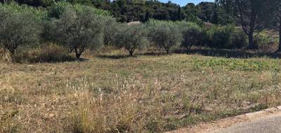 Terrain et maison à Montarnaud en Hérault (34) de 105 m² à vendre au prix de 378900€ - 3