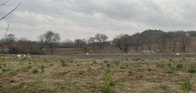 Terrain et maison à Castelnau-de-Lévis en Tarn (81) de 103 m² à vendre au prix de 215000€ - 4