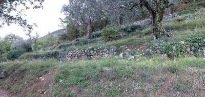Terrain à Châteauneuf-Villevieille en Alpes-Maritimes (06) de 1900 m² à vendre au prix de 160000€ - 2