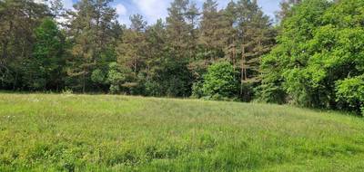 Terrain à Quenoche en Haute-Saône (70) de 957 m² à vendre au prix de 32500€ - 1