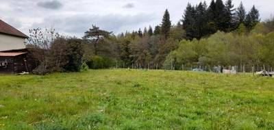 Terrain à Compreignac en Haute-Vienne (87) de 1200 m² à vendre au prix de 34000€ - 3
