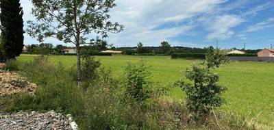 Terrain et maison à Saint-Gauzens en Tarn (81) de 125 m² à vendre au prix de 247000€ - 4