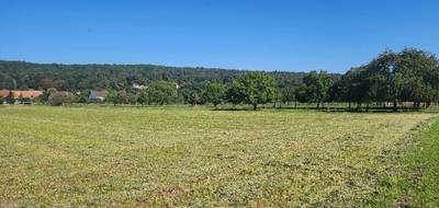 Terrain et maison à Raedersdorf en Haut-Rhin (68) de 156 m² à vendre au prix de 654500€ - 3