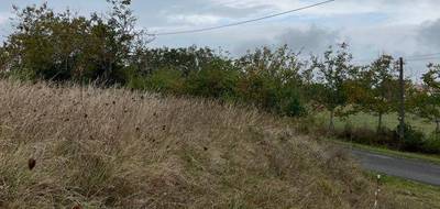 Terrain à Gaillac en Tarn (81) de 726 m² à vendre au prix de 55000€ - 3