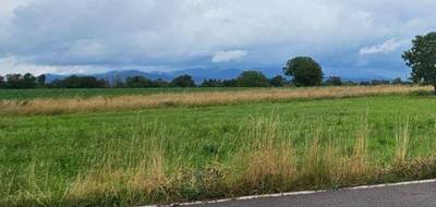 Terrain et maison à Schweighouse-Thann en Haut-Rhin (68) de 100 m² à vendre au prix de 369000€ - 4