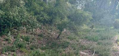 Terrain à Cabriès en Bouches-du-Rhône (13) de 750 m² à vendre au prix de 350000€ - 2