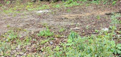 Terrain et maison à Mouzillon en Loire-Atlantique (44) de 70 m² à vendre au prix de 234990€ - 4