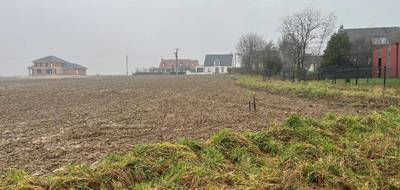 Terrain à Haute-Avesnes en Pas-de-Calais (62) de 503 m² à vendre au prix de 66396€ - 2