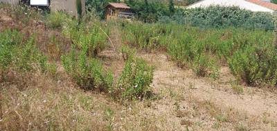 Terrain à Fréjus en Var (83) de 1006 m² à vendre au prix de 595000€ - 2