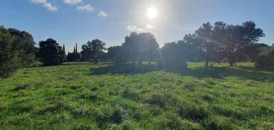Terrain et maison à Uzès en Gard (30) de 80 m² à vendre au prix de 216900€ - 4