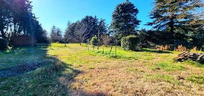 Terrain et maison à Castanet-Tolosan en Haute-Garonne (31) de 166 m² à vendre au prix de 530000€ - 3