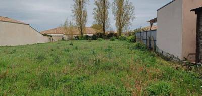 Terrain et maison à Saint-Laurent-de-la-Prée en Charente-Maritime (17) de 145 m² à vendre au prix de 484103€ - 3