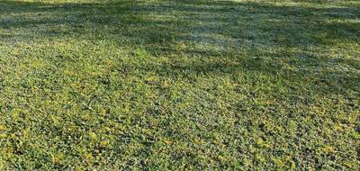 Terrain à Segonzac en Charente (16) de 877 m² à vendre au prix de 42096€ - 2
