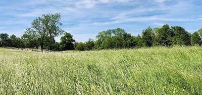 Terrain à Melun en Seine-et-Marne (77) de 378 m² à vendre au prix de 135000€ - 1