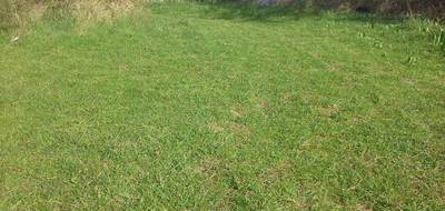 Terrain et maison à Ris-Orangis en Essonne (91) de 89 m² à vendre au prix de 410000€ - 3