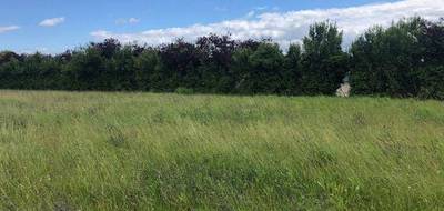 Terrain et maison à Monthodon en Indre-et-Loire (37) de 85 m² à vendre au prix de 180967€ - 4